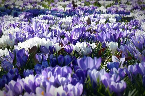 合肥30天天气雨报（合肥市天气30天天