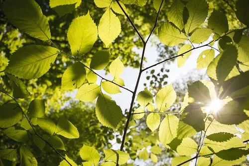 未来高邮30天的天气预报（未来高邮30