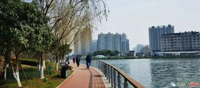 骑行好地方，从这里开始，乐清一个梅花盛开的地方……