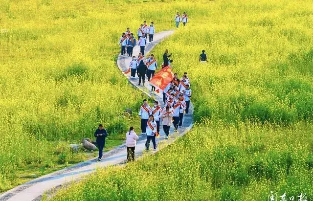 云游宁德｜福安穆云桂林村40多亩油菜