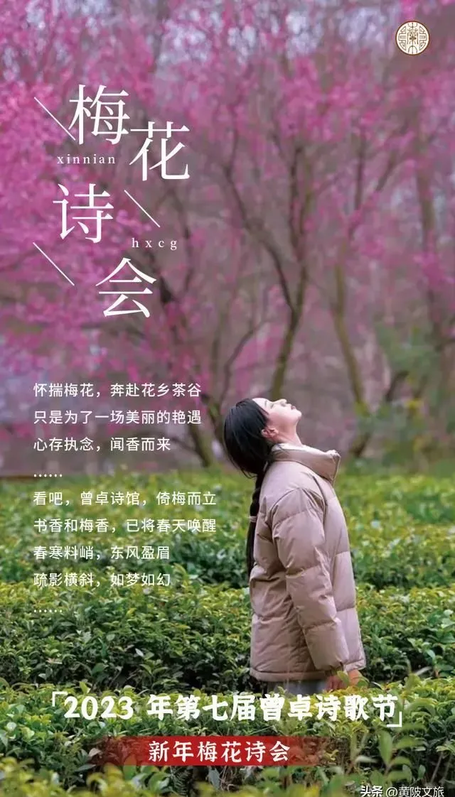 十万梅树，亿朵梅花，花乡茶谷邀您赴一场诗与梅花的约会