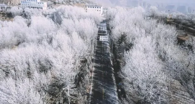 兰州榆中：雪后最美是雾凇