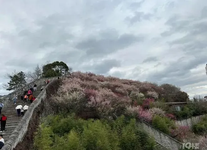 周末人山人海！最近台州好多人跑这里打卡