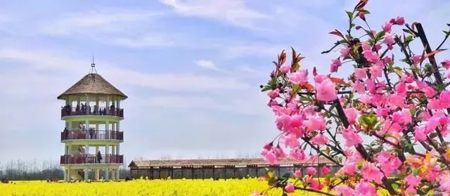 鸠江区：春暖花开踏青趣 &ldquo;鸠&r