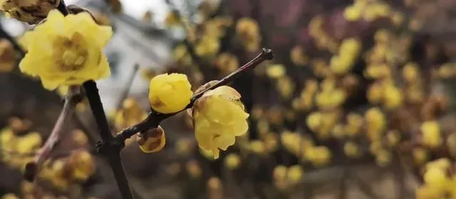 两人一车全国自驾游第十天（绍兴）