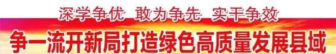 完工亮相！仙游新增一登山步游道……