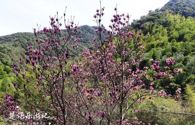 宁波最偏僻的古村落，藏于山岙无人问