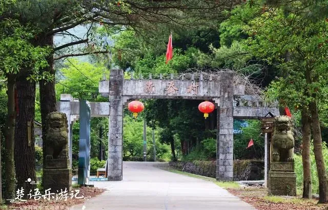 宁波奉化南岙村，梅林映古寺，绿水绕青山，藏于山坳却成网红景点