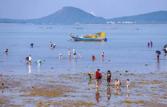 广东过大年，海陵岛体验“赶海”，感受别样春节休闲方式