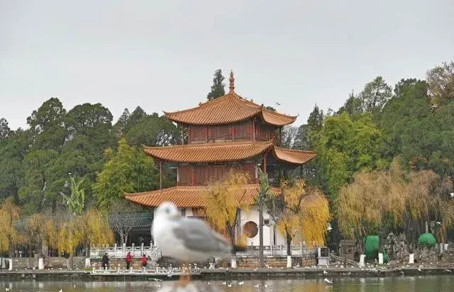 不愧是国家一级博物馆,云南省博物馆很好逛,上过央视的金翅鸟奢华