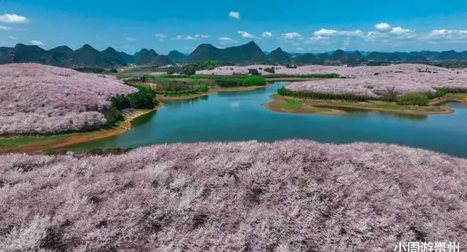 世界级别的花海尽在贵州，这2个地方