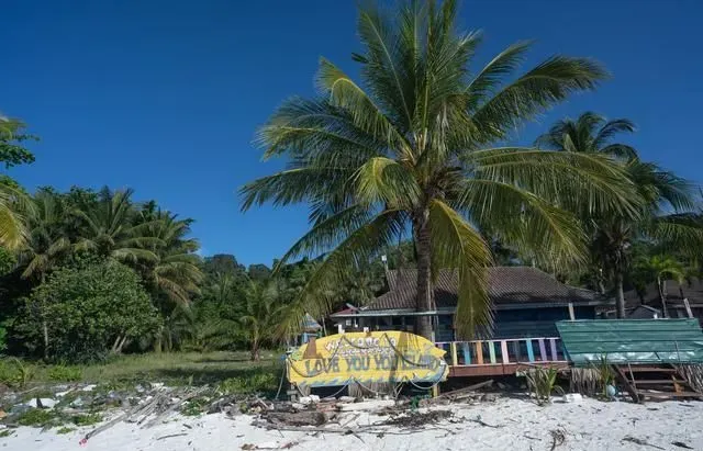 小众秘境岛屿森林徒步，探访海龟产卵