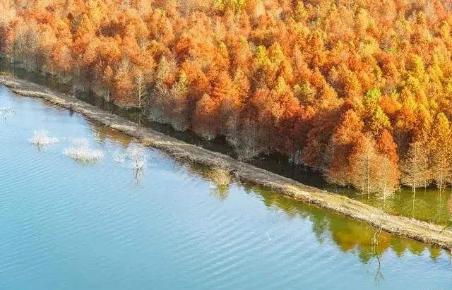 世界湿地日｜拥抱自然，湿地漫游