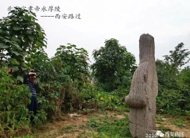 北宋帝陵 宣孝帝永厚陵（西安路过）