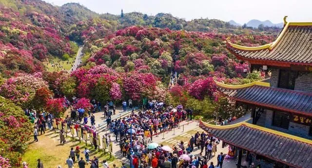 别错过！国内这几个春日赏花地，即将迎