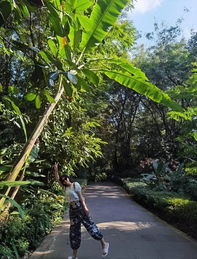 不输亚马逊，媲美非洲刚果，中国的热带