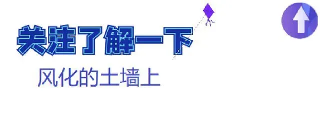 中国游客“再临”险境，这次没法忍了，国家：一切后果自己承担