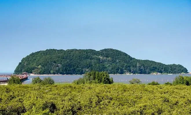 广东阳江隐藏一处秘境，入选“中国十大最美海岛”，景色堪比三亚