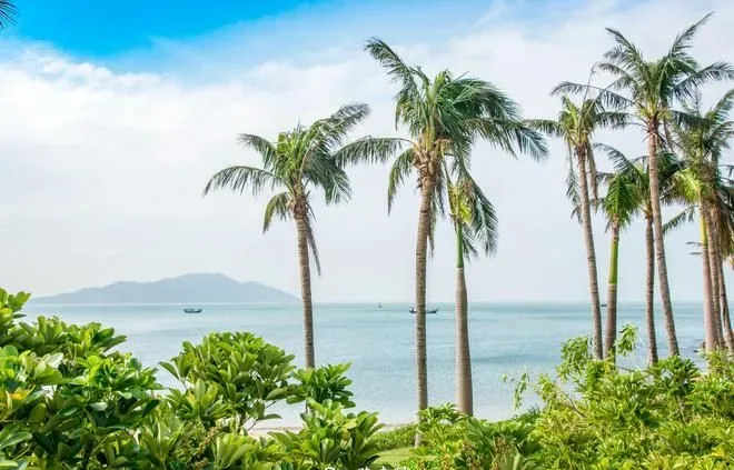 《狂飙》不仅带火江门佛山，还到珠海取景，这座城市的风景太美了