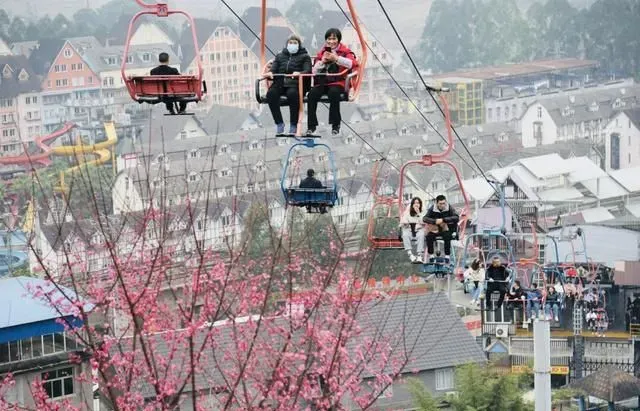 山城花似锦 游子半出城 重庆开启近