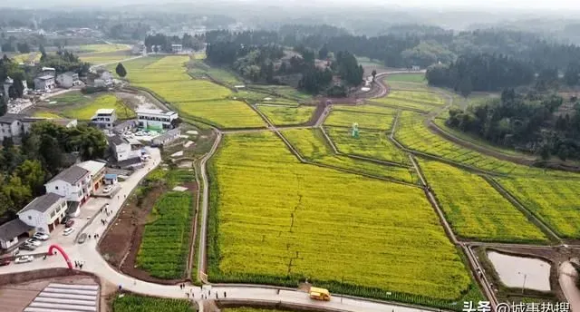 南充：高坪区会龙镇首届&ldquo;菜花