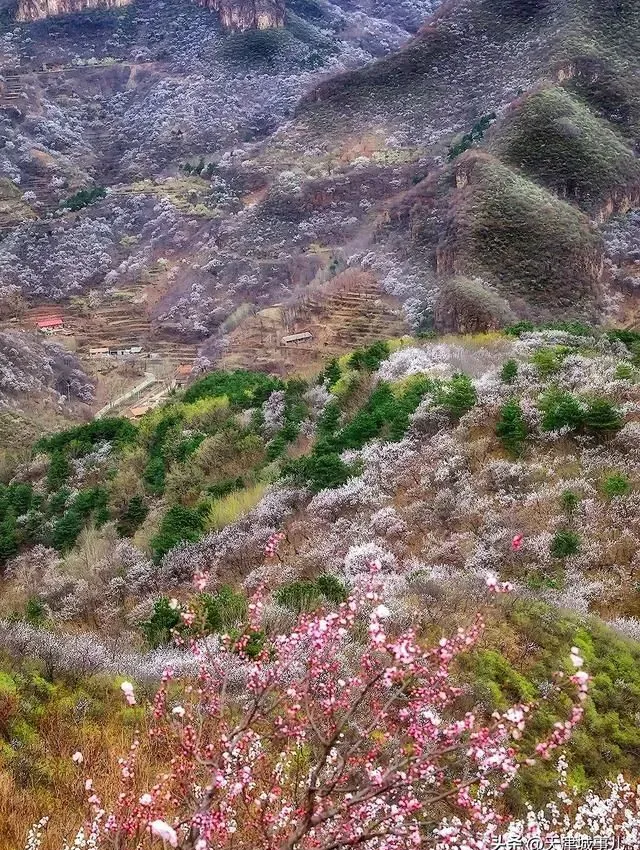 天津蓟州攻略：两天一夜爬山赏花之旅