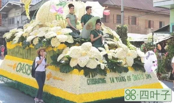 清迈花节会干什么(清迈花节活动大全)插图(3)