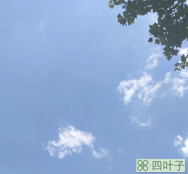 云南天气情况(云南天气预报一周查