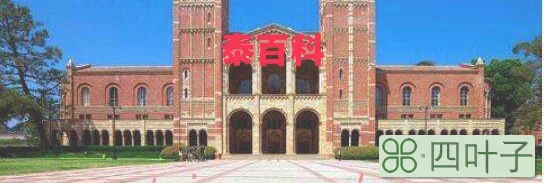 安德鲁大学(安德鲁大学好吗)