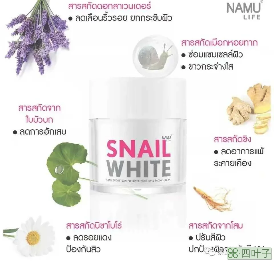 泰国代购泰国本土好用的面霜snail white蜗牛霜