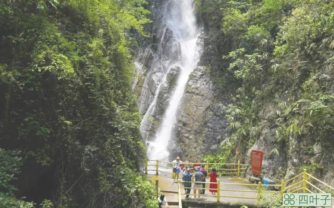 德庆盘龙峡景区：文明旅游与风景相辉映