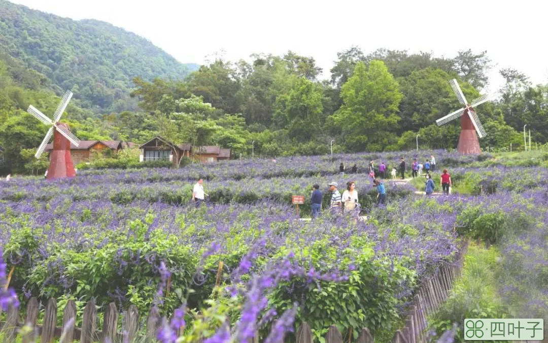 德庆盘龙峡景区：文明旅游与风景相辉映