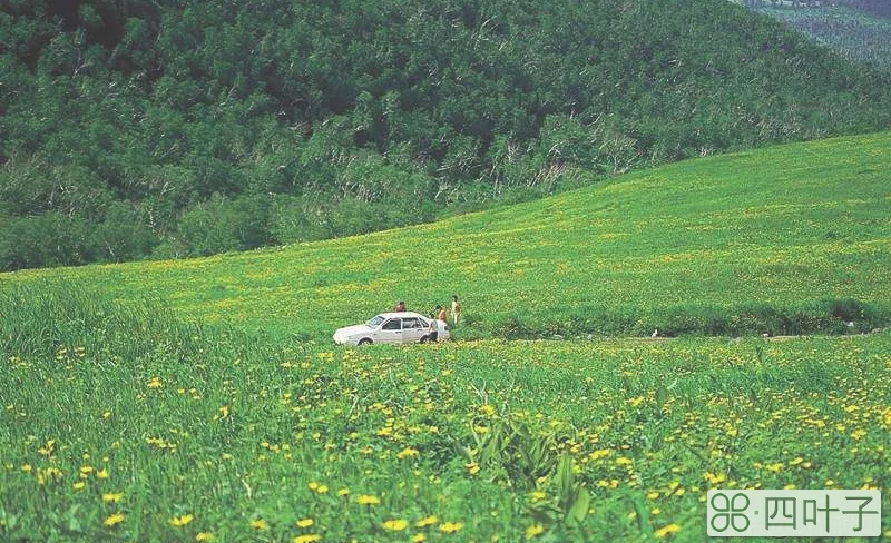 7月去哪玩？国内这五个地方，景美又凉快