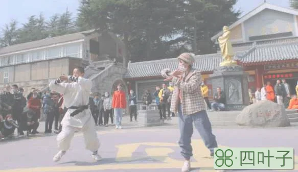 嵩山少林寺旅游攻略(嵩山少林寺一日游攻略)