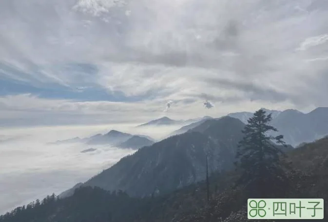 西岭雪山一天怎么玩最好(成都到西岭雪山一日游攻略)插图(9)