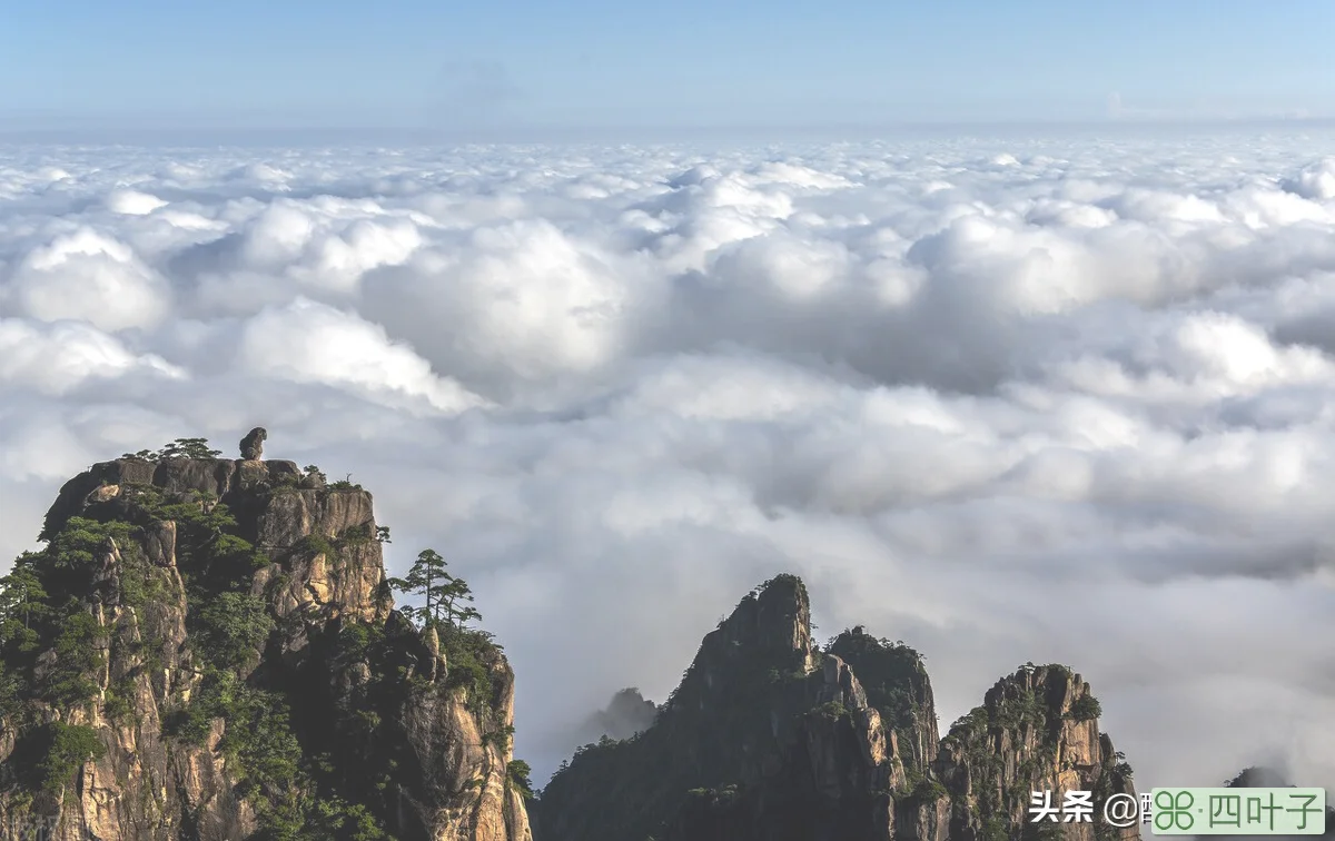 黄山风景介绍(黄山著名的景点及简