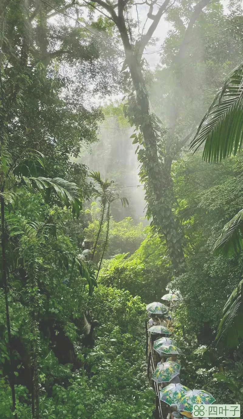 深圳青青世界在哪里(深圳青青世界