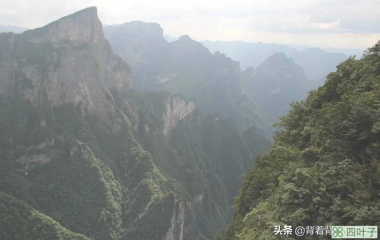 中国优秀旅游城市·张家界，哪些景点最值得打卡，这篇攻略告诉你