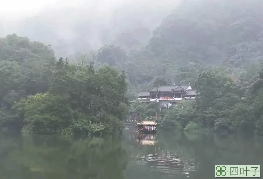 成都旅游攻略三日游(成都三日游最佳安排及攻略)