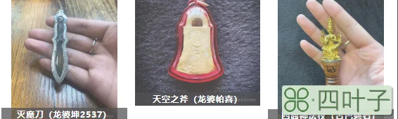 冠兰圣物的功效厉害吗(泰国常见冠兰陈述)插图(3)