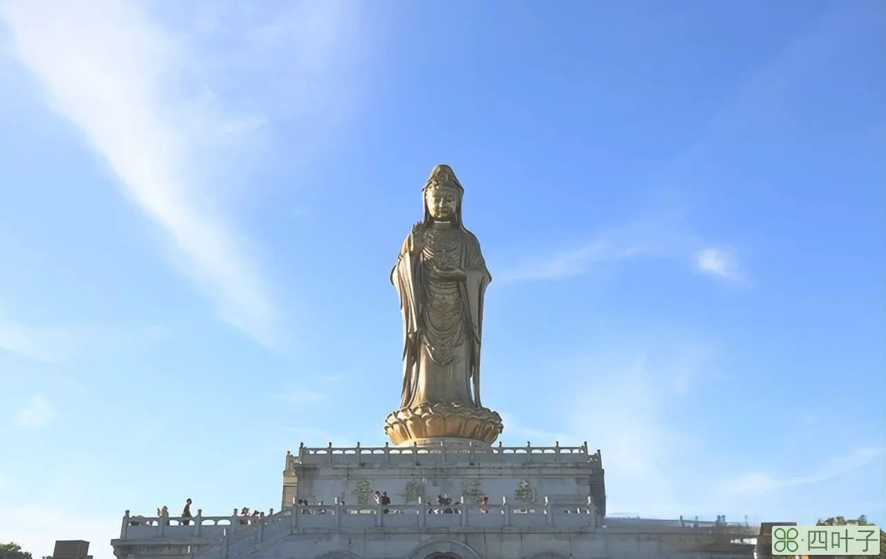 普陀山旅游攻略，这些地方一定要去