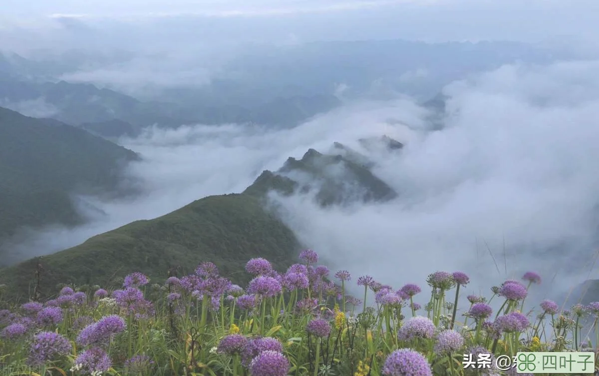 贵州最值得去旅行的十大景点，走遍神州大地，最美多彩贵州