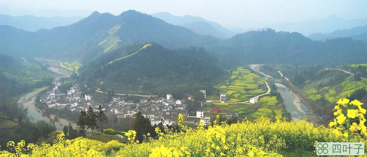 深圳欢乐海岸好玩吗(深圳好玩又免费的景点)插图(6)