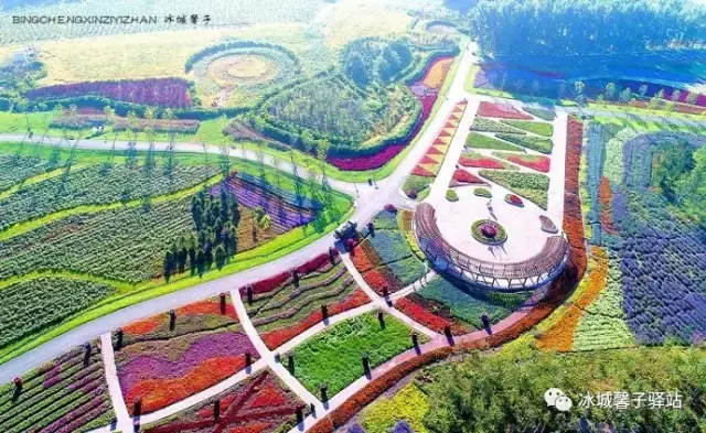 紫烟薰衣草庄园(长山薰衣草彩虹小镇图片)插图(7)