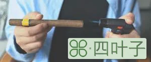 皇家罗布图 | 灰一只少一只的长城好茄