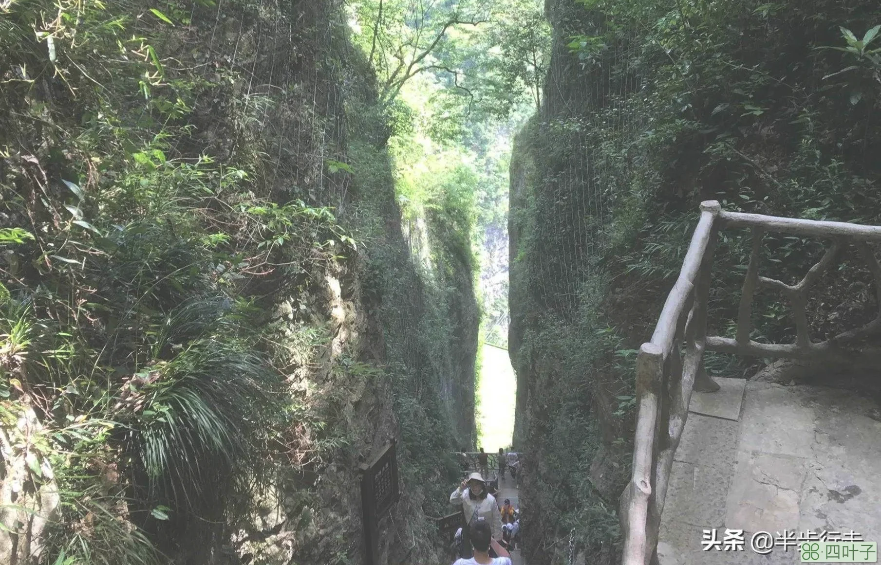 张家界大峡谷玻璃桥 B1线路旅行攻略