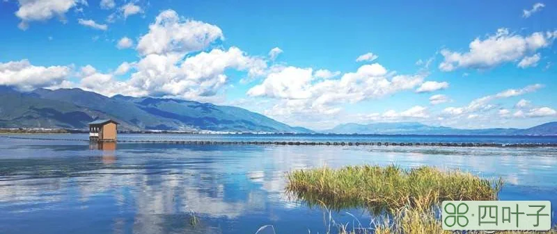 7月去哪玩？国内这五个地方，景美又凉快