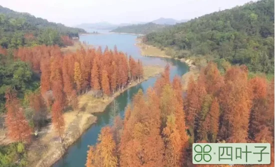 中山爬山去哪里比较好(中山徒步路线推荐)插图(4)