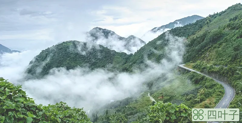 四川旅游景点排名前十名(四川必去