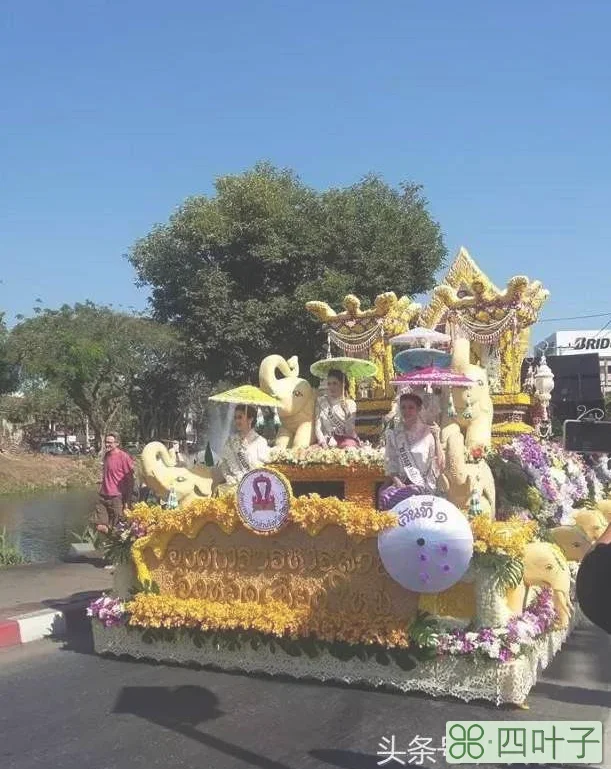 清迈花节会干什么(清迈花节活动大全)插图(10)